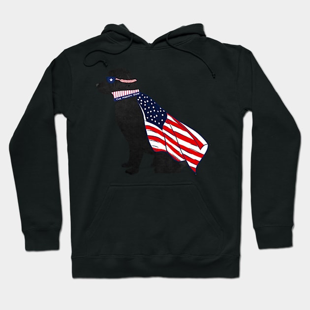 Patriotic Black Lab Silhouette - Preppy Super Dog Hoodie by emrdesigns